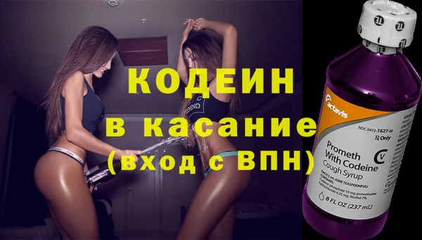 ешки Корсаков