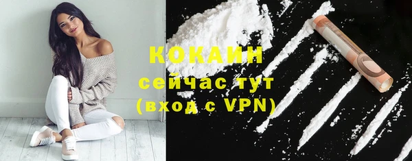 мдпв Коряжма