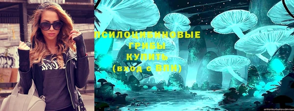 ешки Корсаков