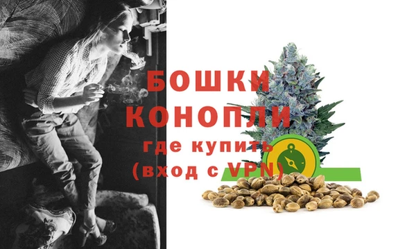 ешки Корсаков