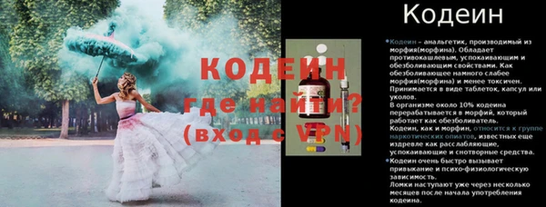 ешки Корсаков