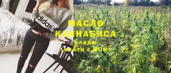 ешки Корсаков